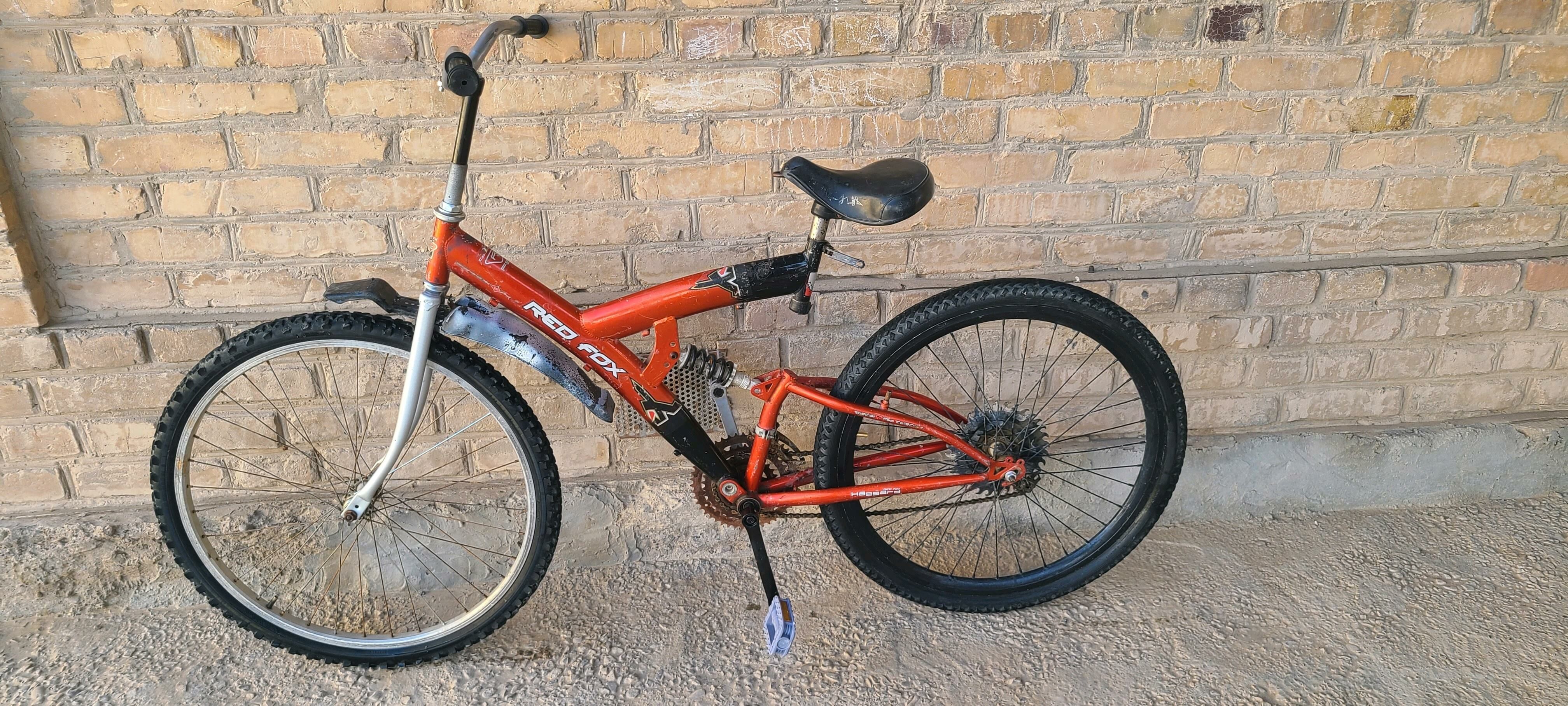 welsopet kama tigir - Mary - img 5