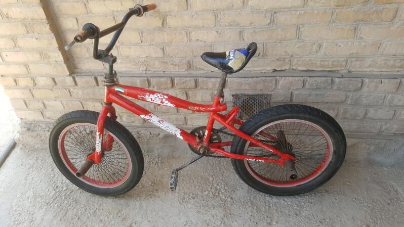 welsopet kama tigir - Mary - img 6