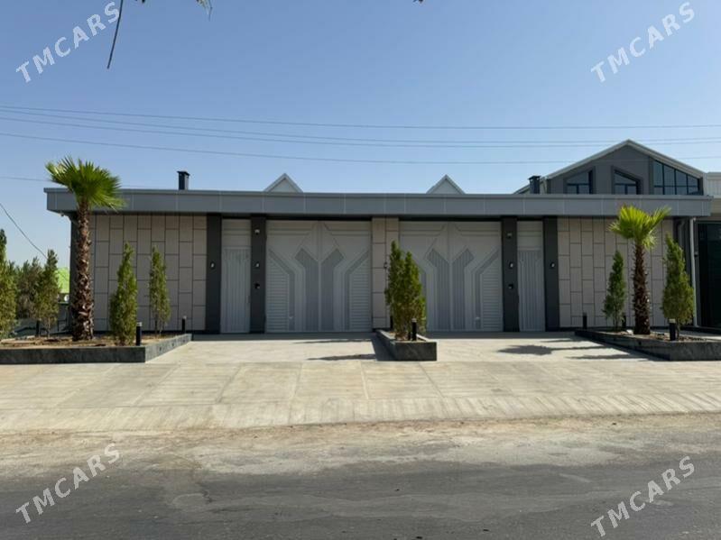 Coganly Kotej - Ашхабад - img 3