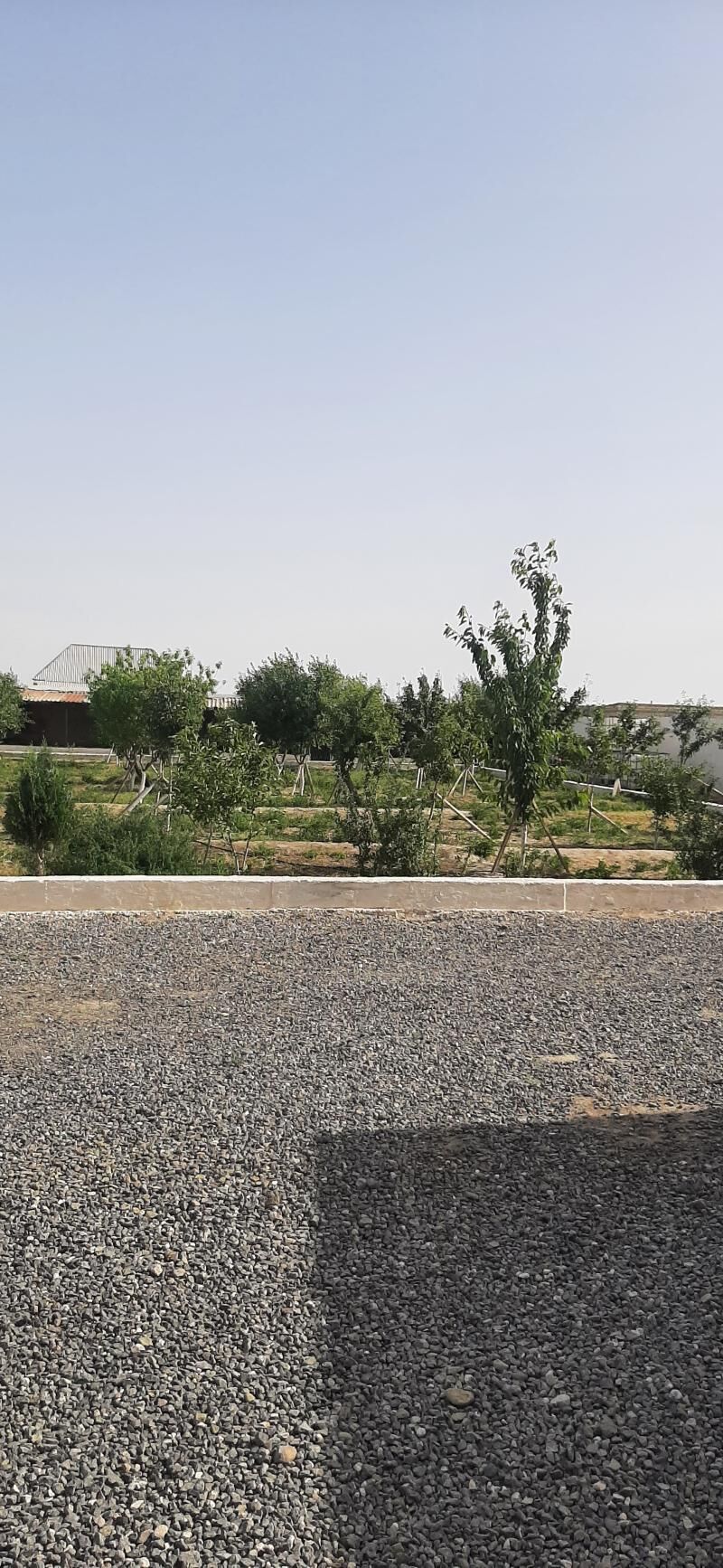 plan jay - Берекет - img 9