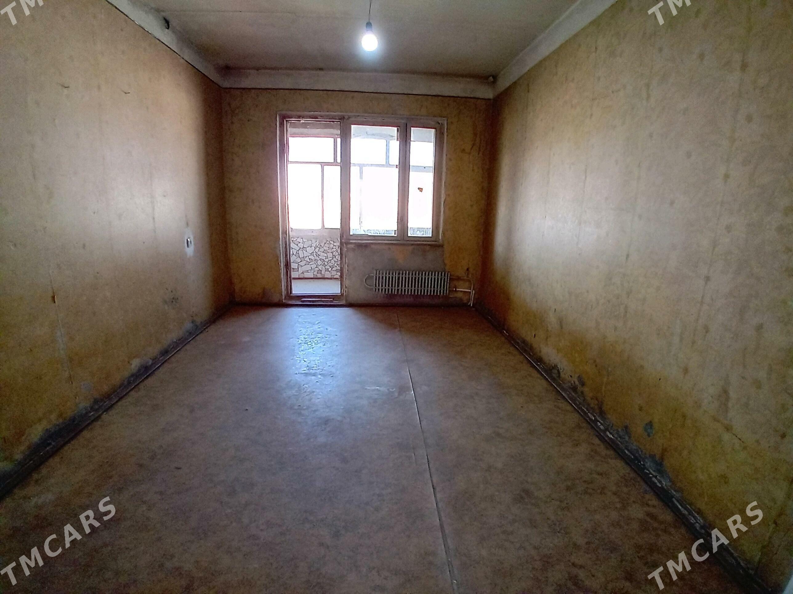   Satlyk jay - Mary - img 3