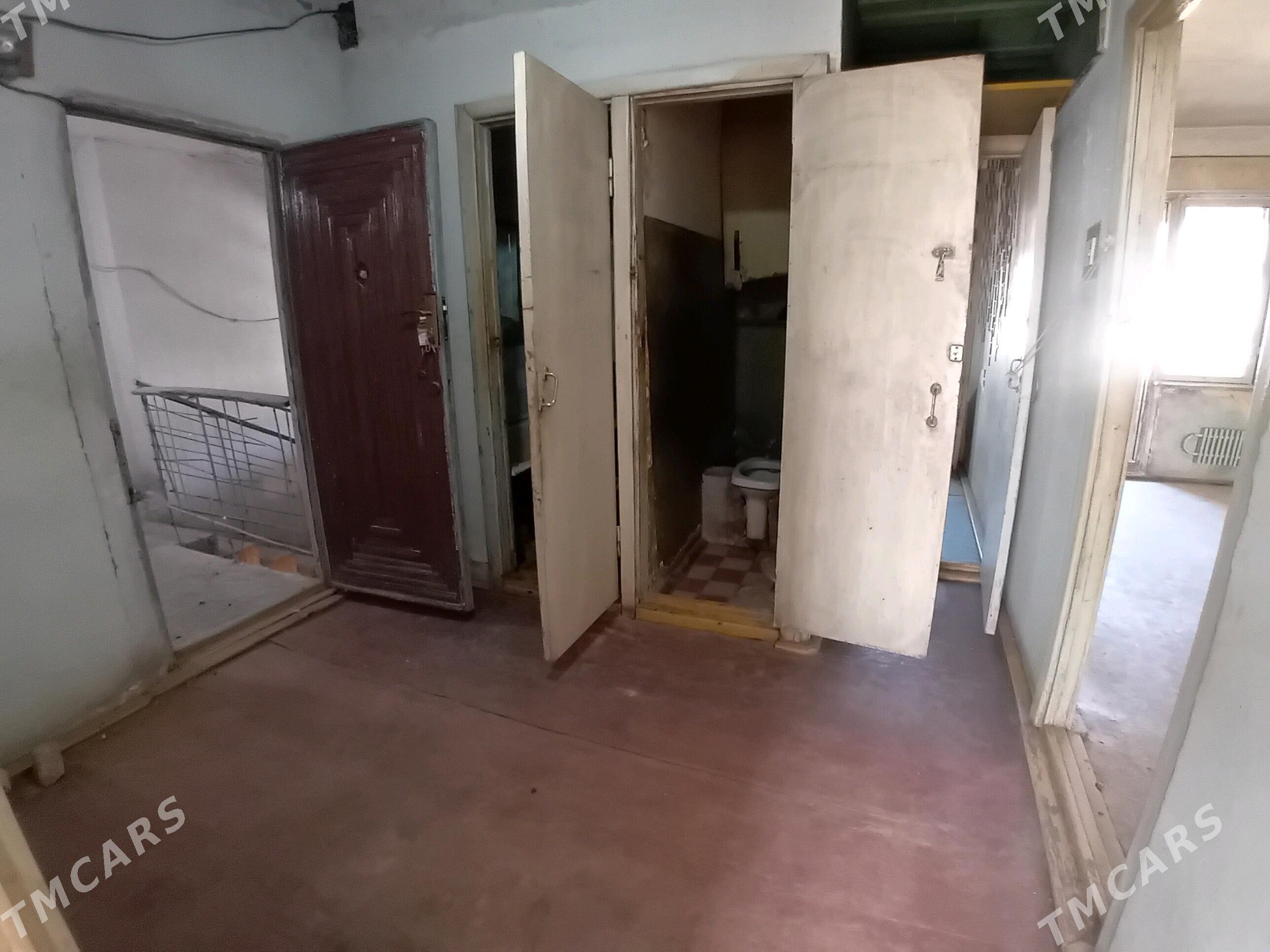   Satlyk jay - Mary - img 5