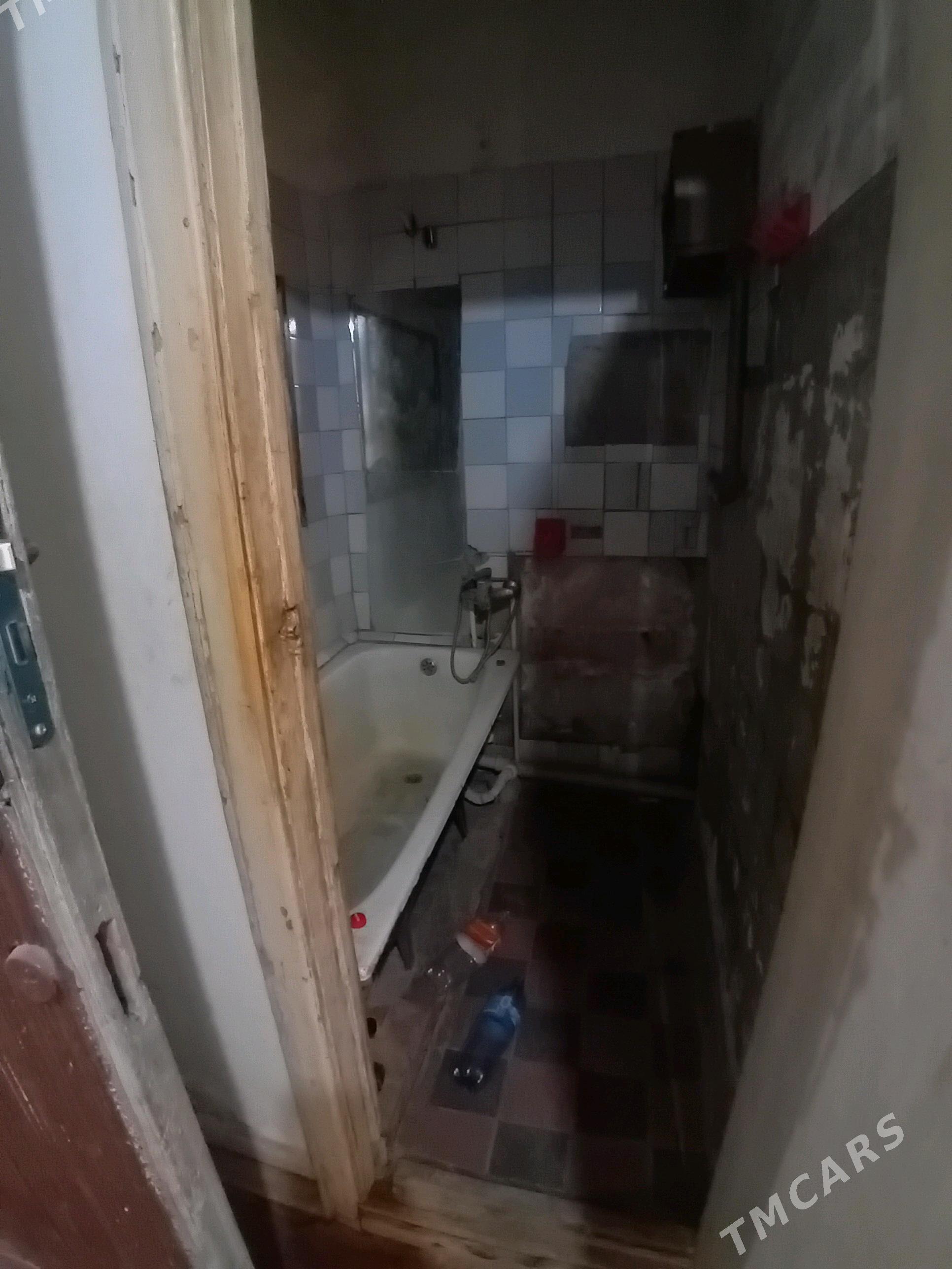   Satlyk jay - Mary - img 6