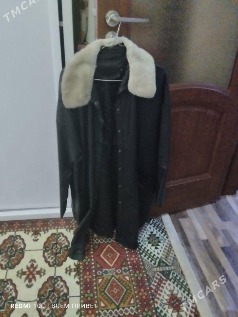 kOJA kastum - Daşoguz - img 2