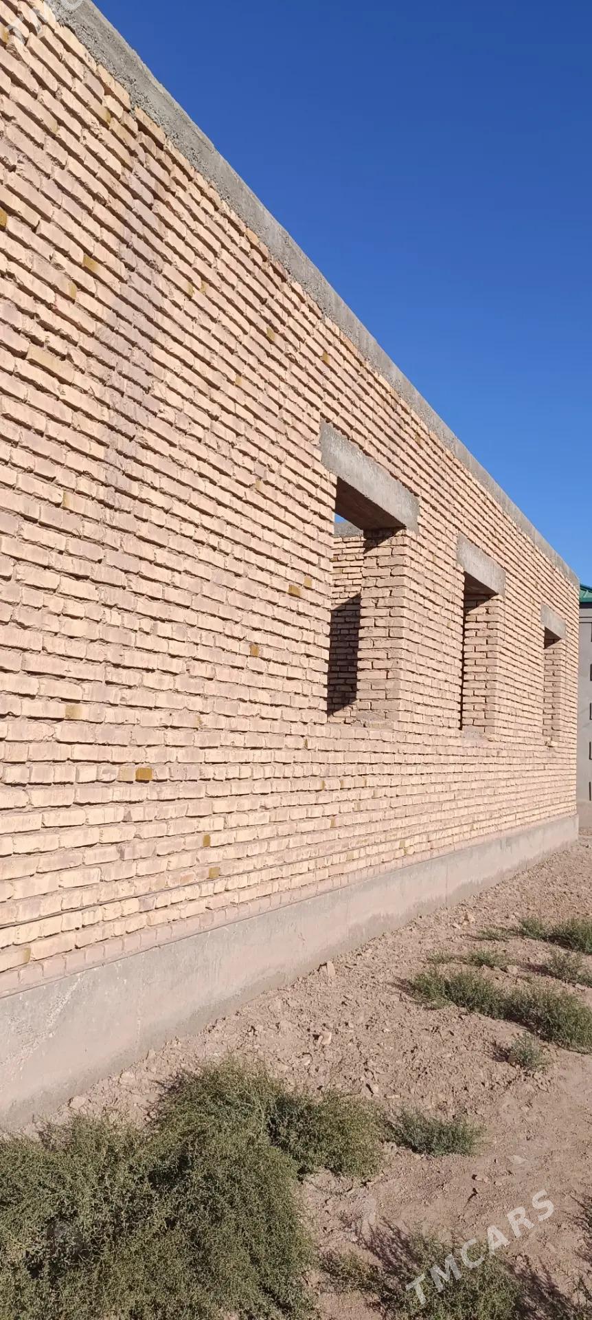 satlyk jay - Akdepe - img 3