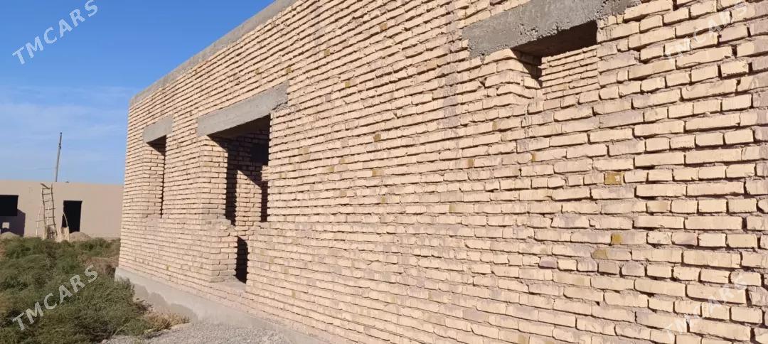 satlyk jay - Akdepe - img 4