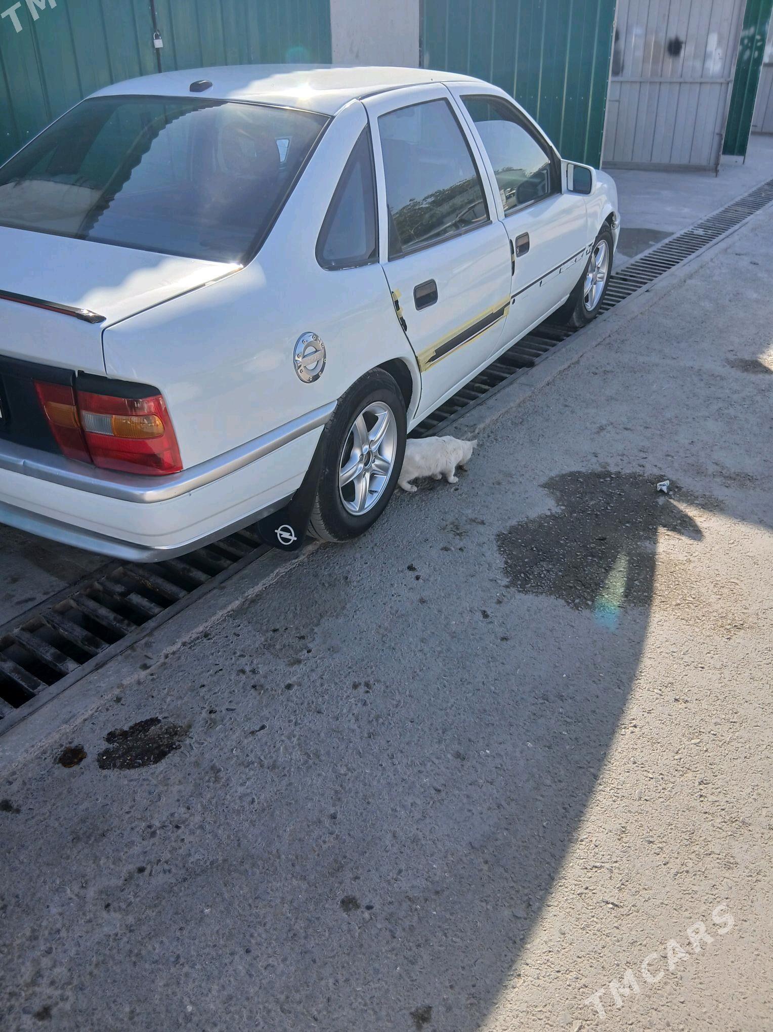 Opel Vectra 1991 - 39 000 TMT - Änew - img 3