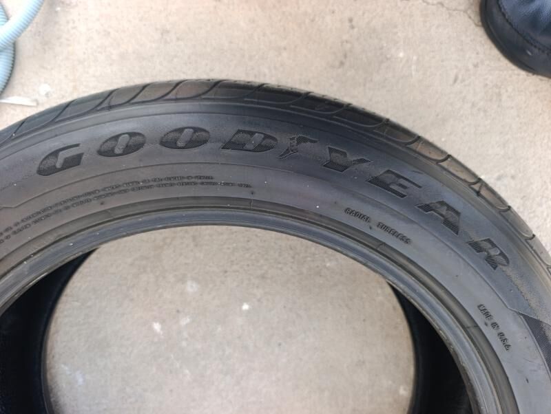 Goodyear 600 TMT - Арчабиль шаёлы - img 2