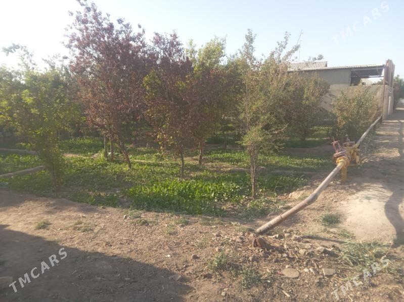 satlyk jaý - Мары - img 1