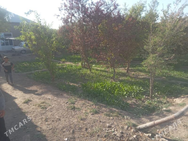 satlyk jaý - Мары - img 2