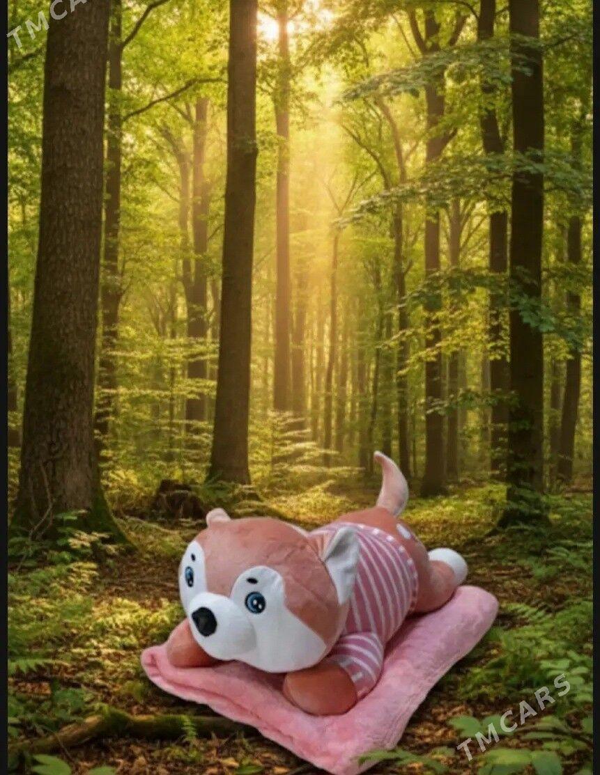 oyunjak adyal. - Ашхабад - img 2