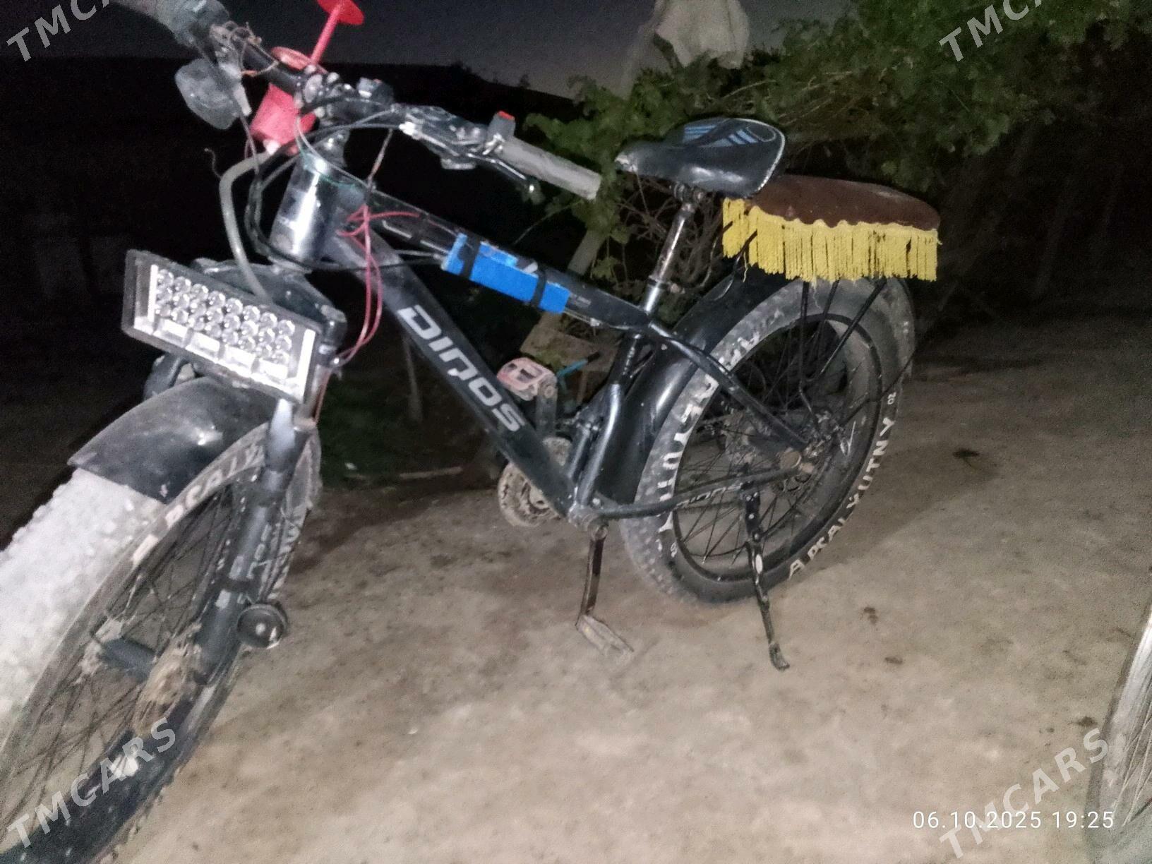 ugly tigirli - Köneürgenç - img 2