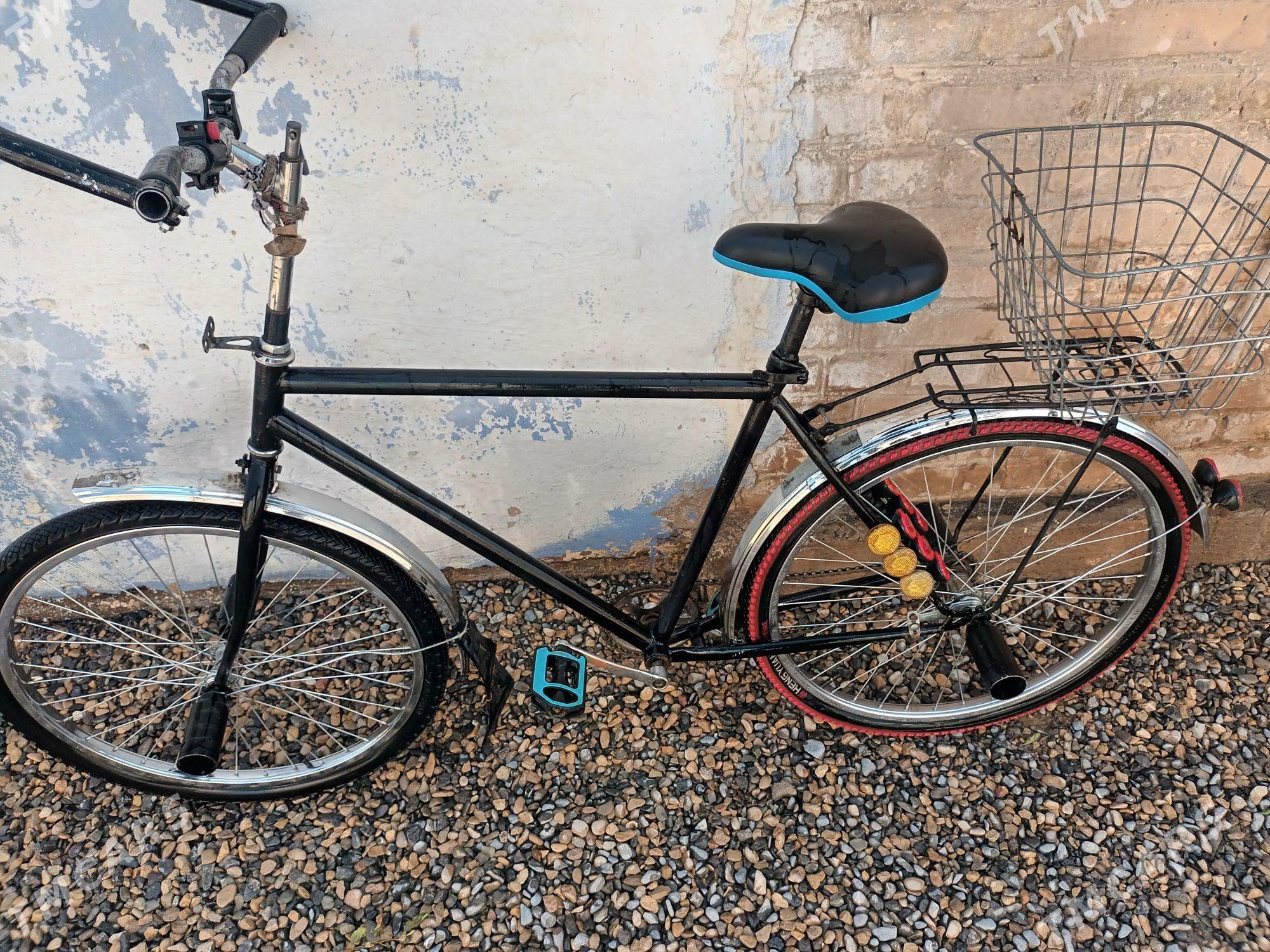 TIGIR - Tejen - img 2