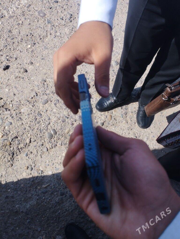 a15 TP - Sakarçäge - img 4