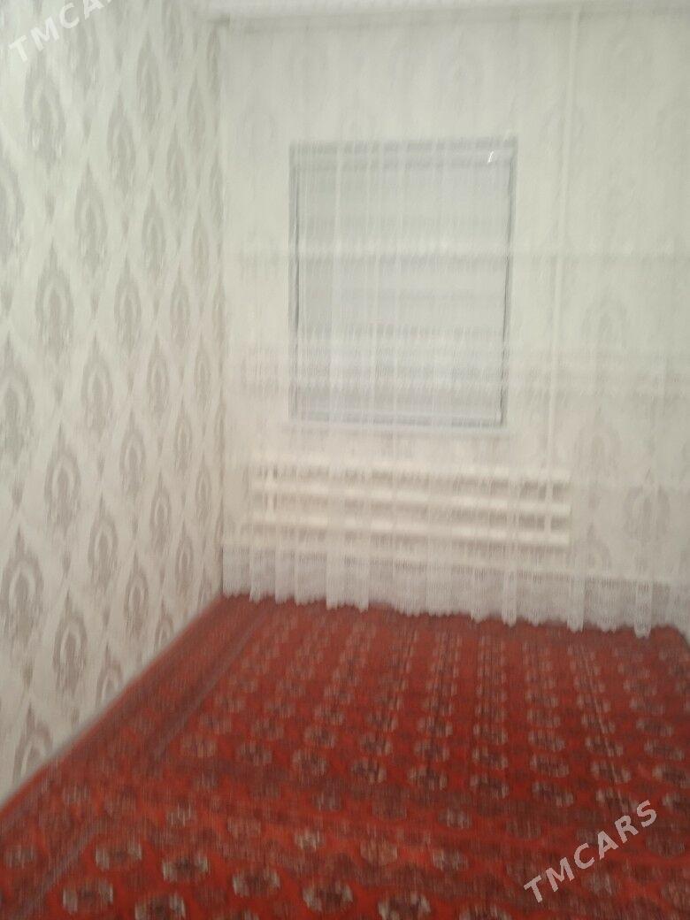 haly - Daşoguz - img 1