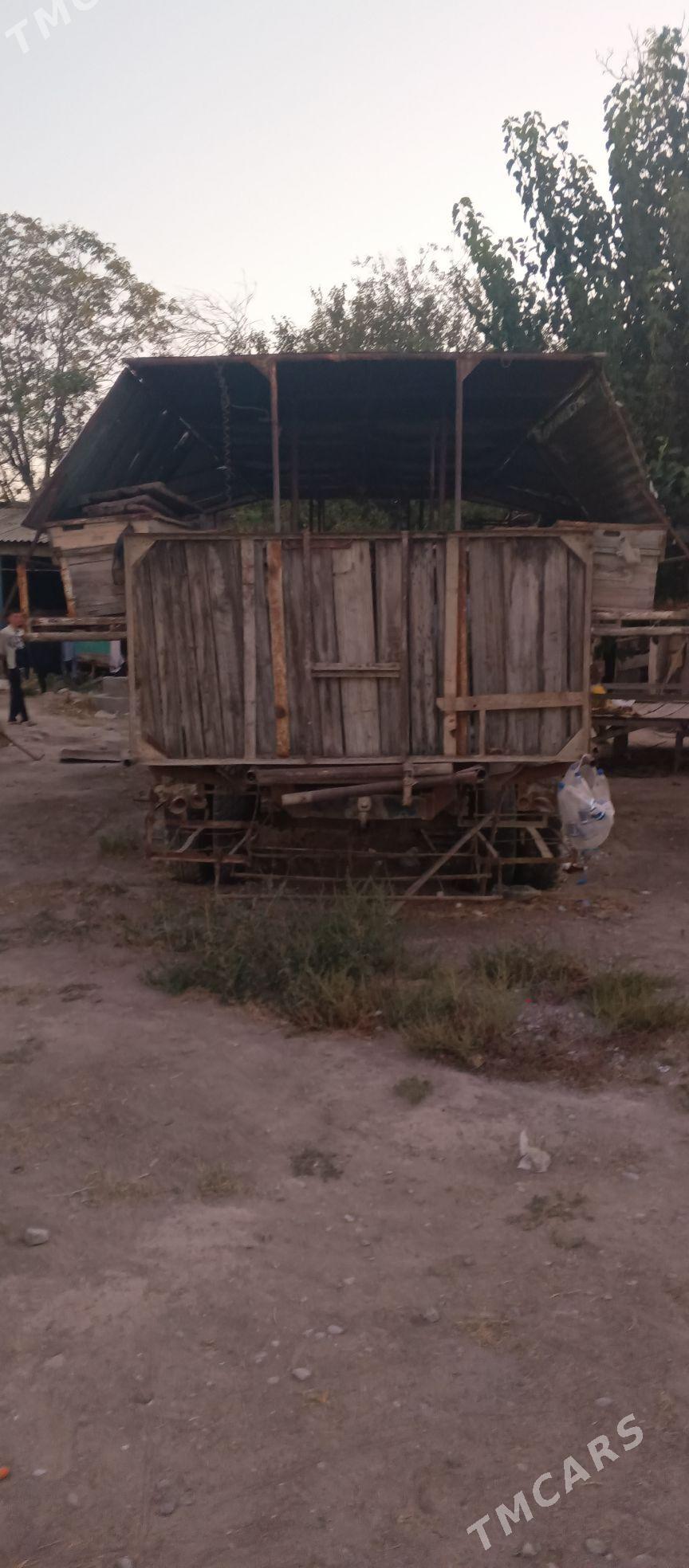 prisep - Кëши - img 2