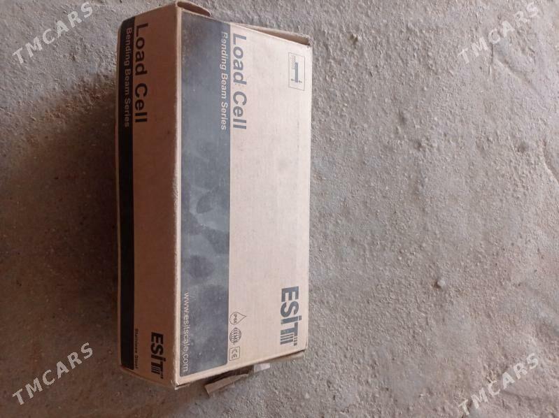 bsu terezi - Jebel - img 1