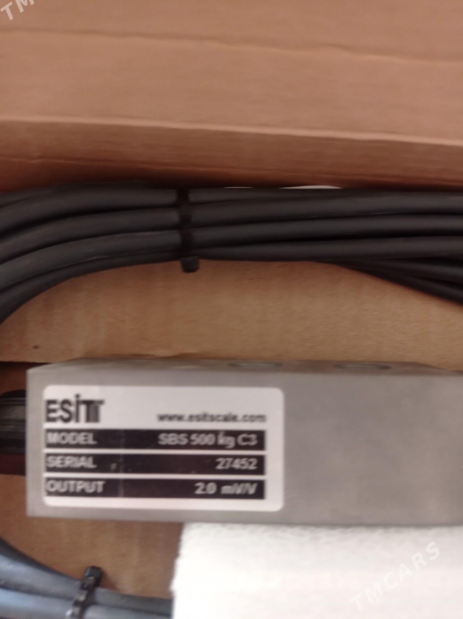 bsu terezi - Jebel - img 2