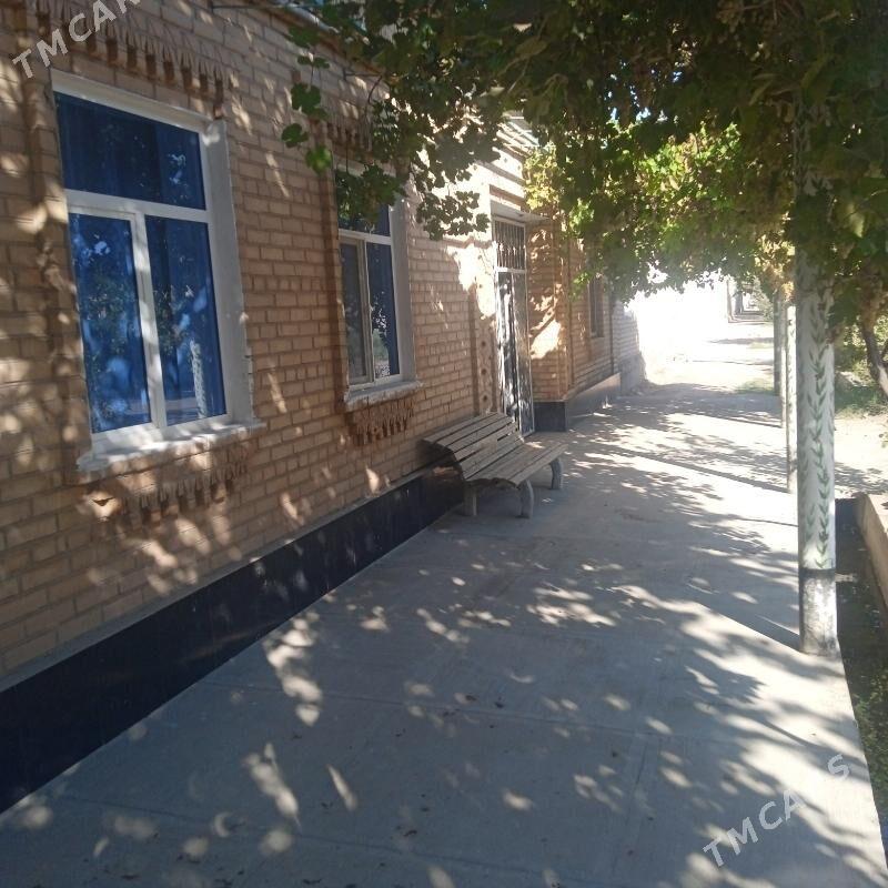 jay - Saýat - img 2