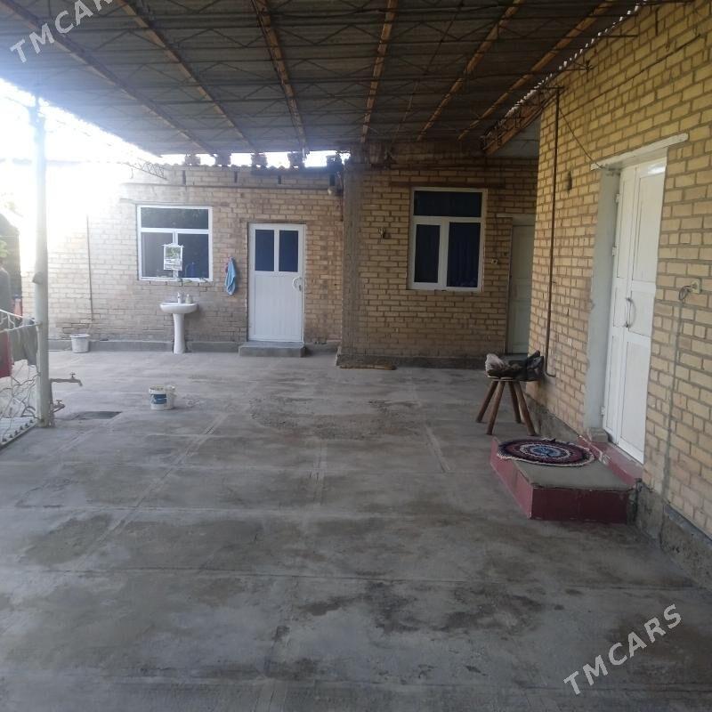 jay - Saýat - img 3