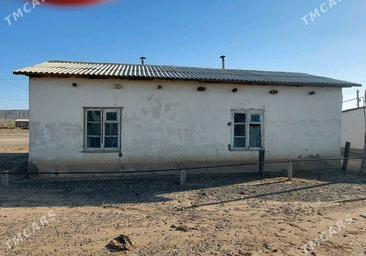 Satlyk Jaý - Bereket - img 2