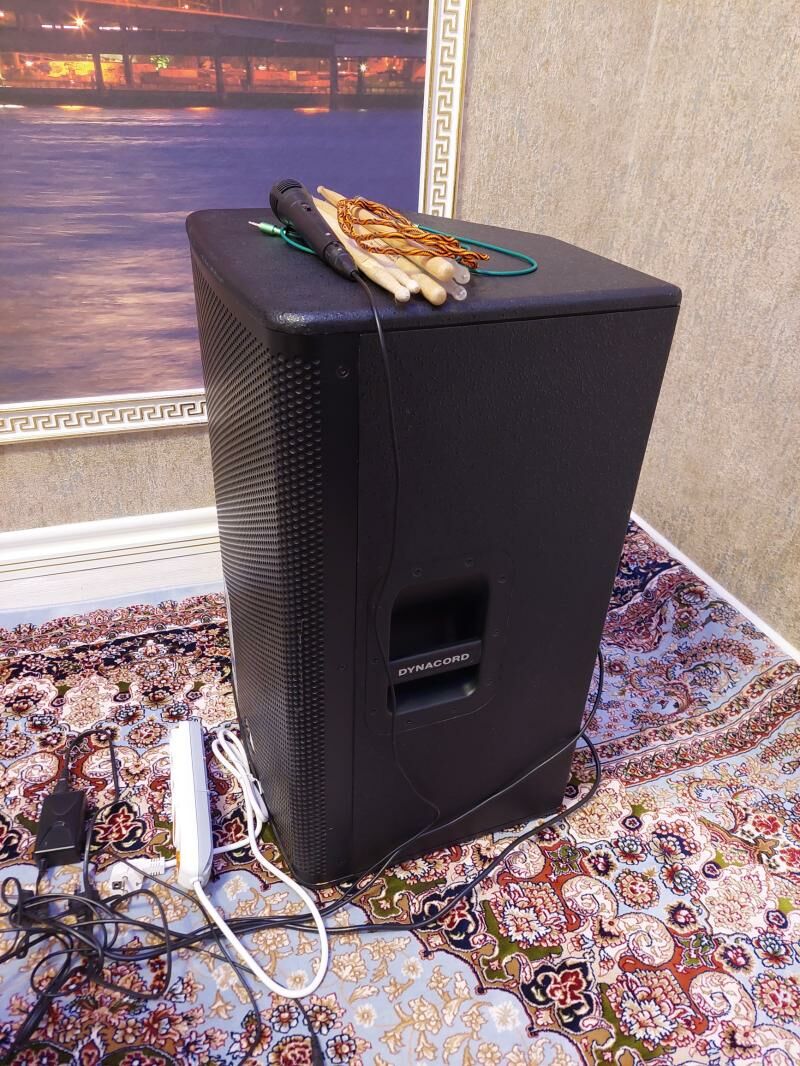 saz kalonka professionalnyý - Aşgabat - img 2