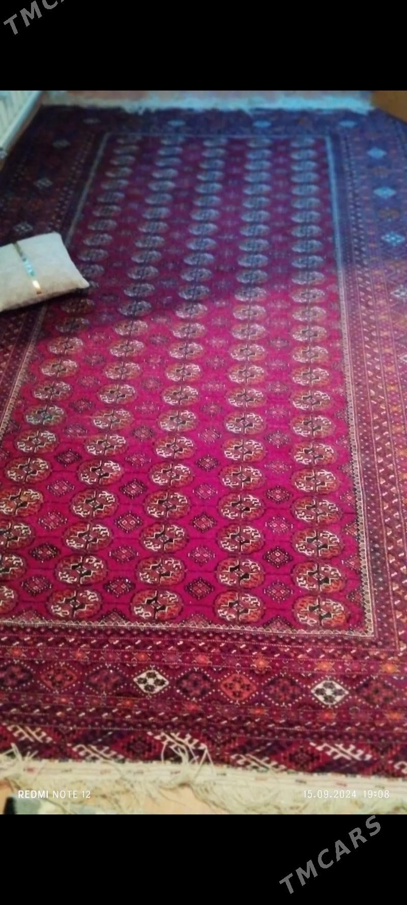 turkmen gadym yun haly - Ашхабад - img 2