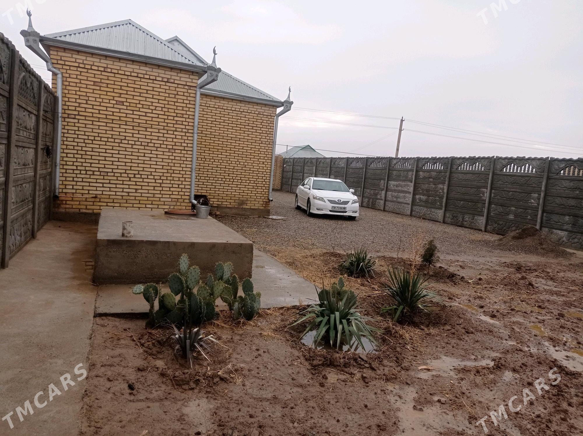 Howly - Мары - img 4