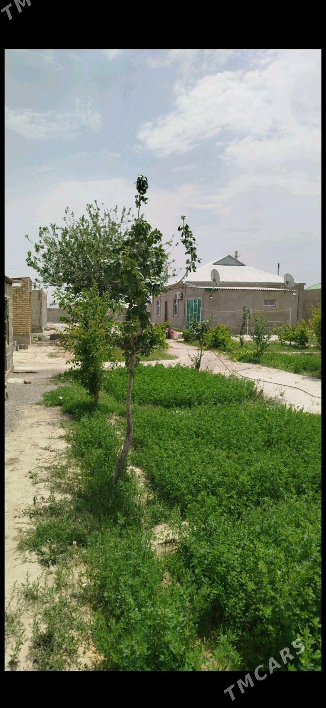 plan jay - Bäherden - img 2