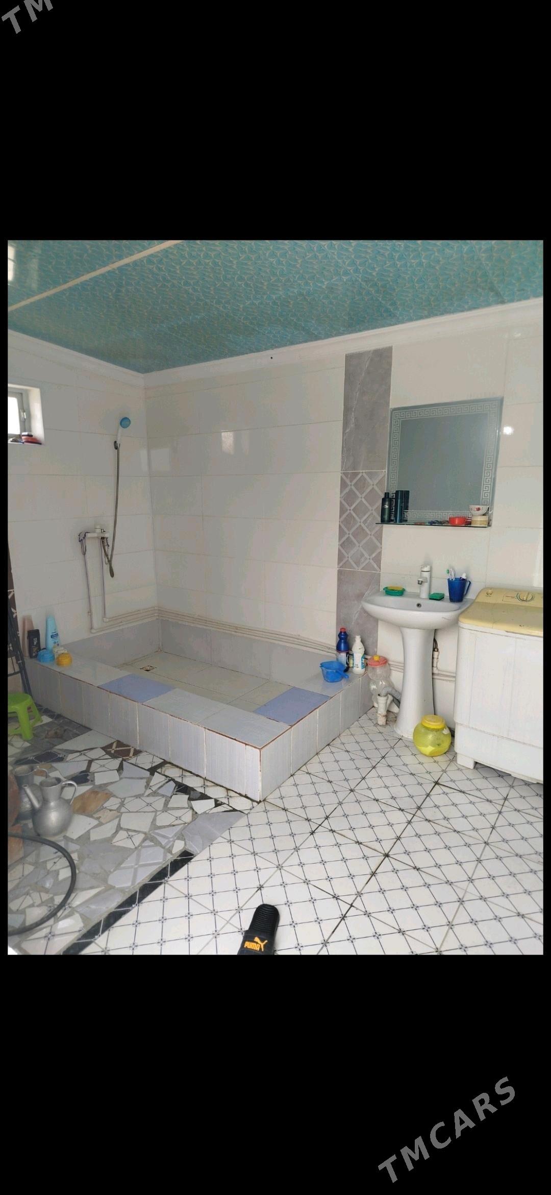 plan jay - Bäherden - img 4