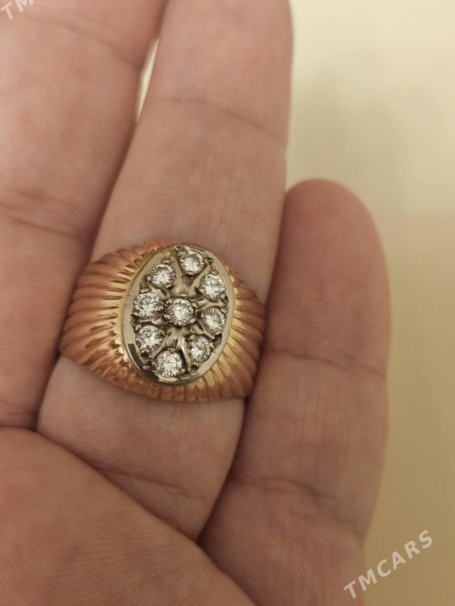 Gyzyl - Daşoguz - img 3