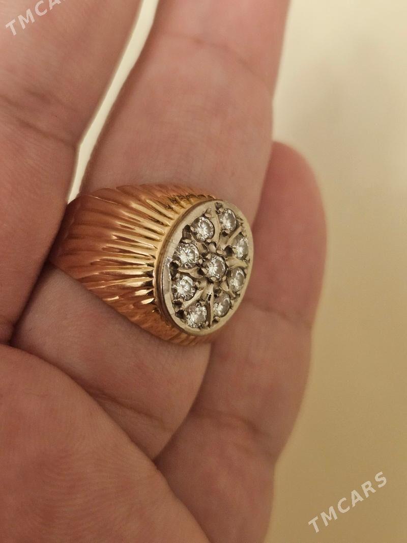 Gyzyl - Daşoguz - img 2