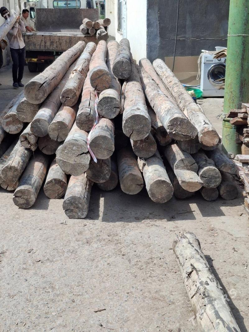 AGAC ALYAS - Ашхабад - img 4