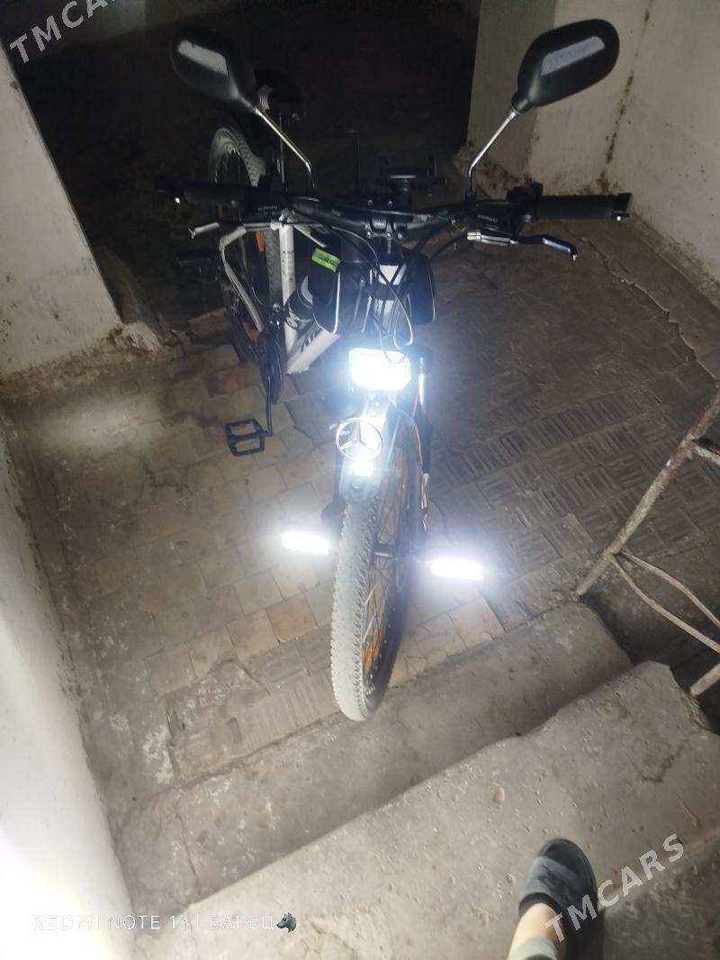welik spartiwini - Gazojak - img 2