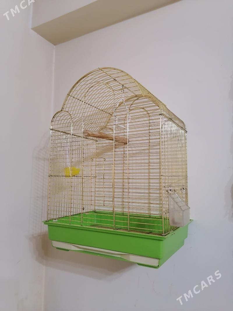 клетка/kletka - Aşgabat - img 1