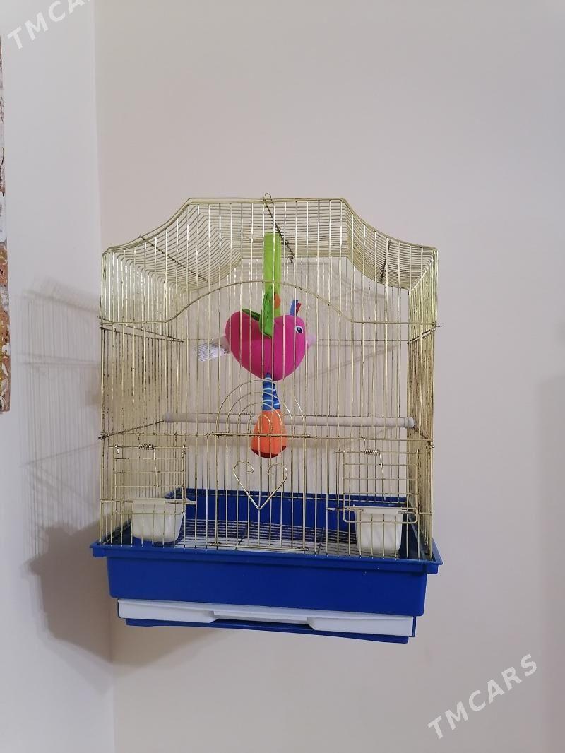 kletka/клетка - Aşgabat - img 2