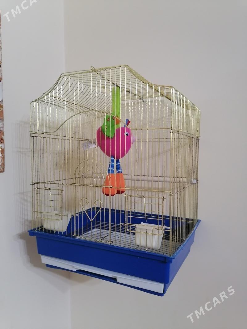 kletka/клетка - Aşgabat - img 1