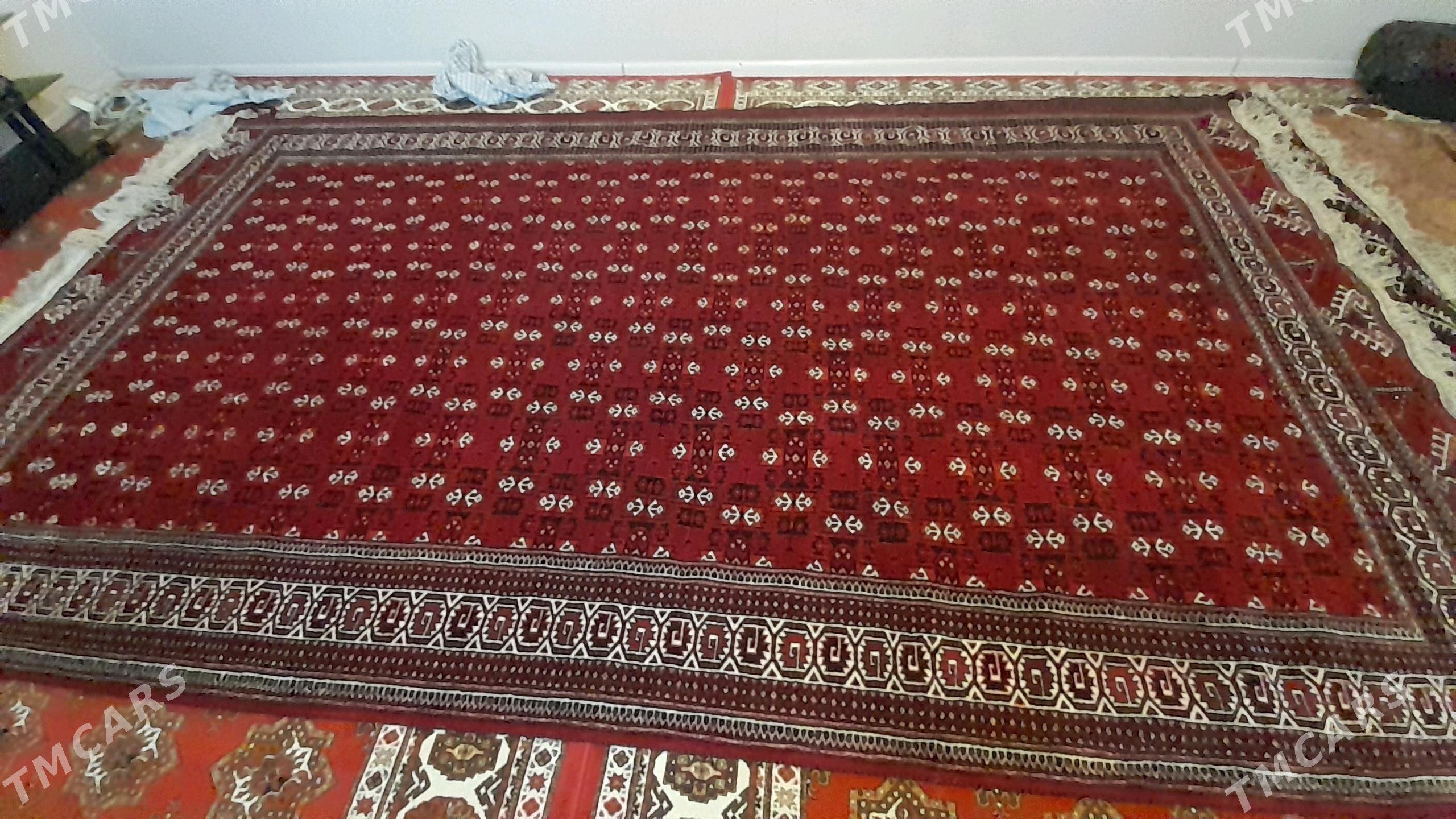 haly gawsa gòli - Balkanabat - img 1