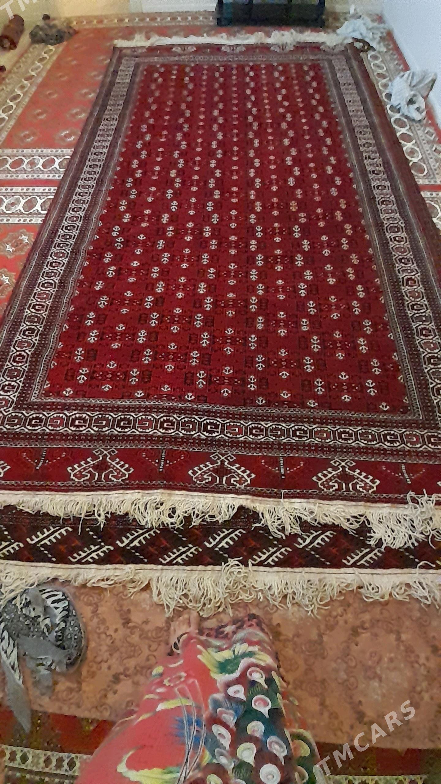 haly gawsa gòli - Balkanabat - img 2