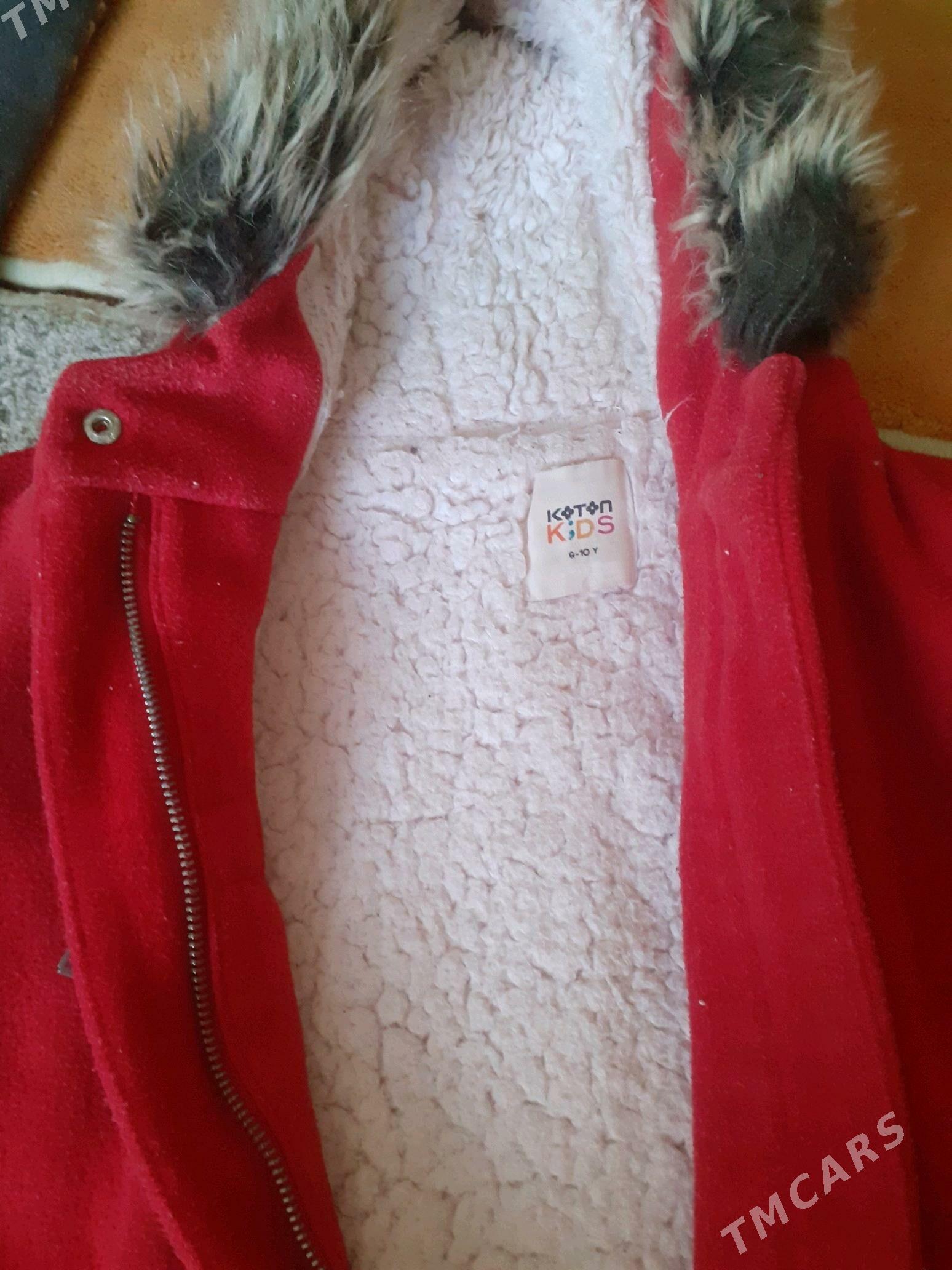 Palto - Daşoguz - img 2