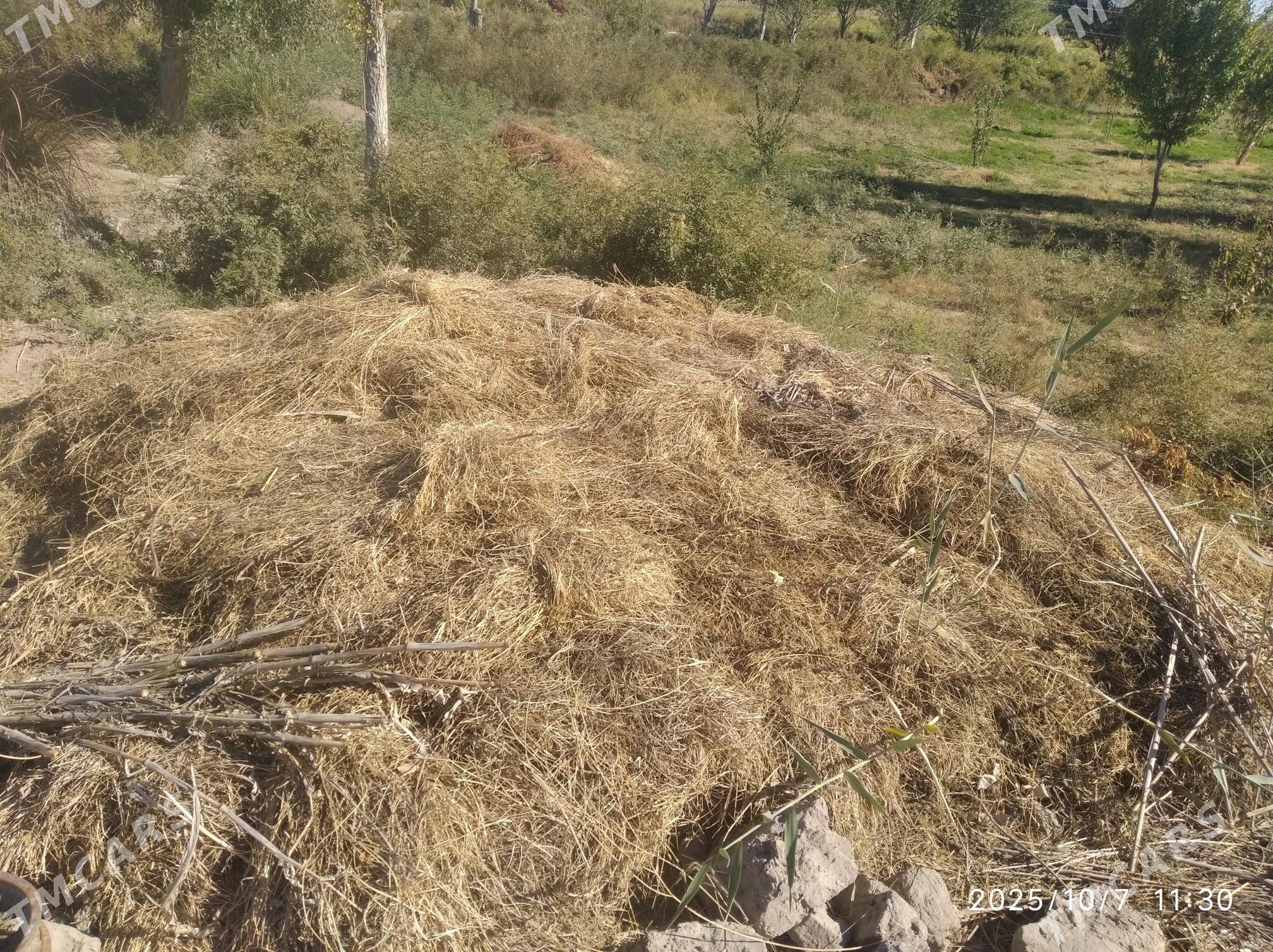 Yorunja/Йорунжа - Boldumsaz - img 2