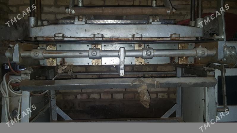 Mal obmen - Mary - img 9