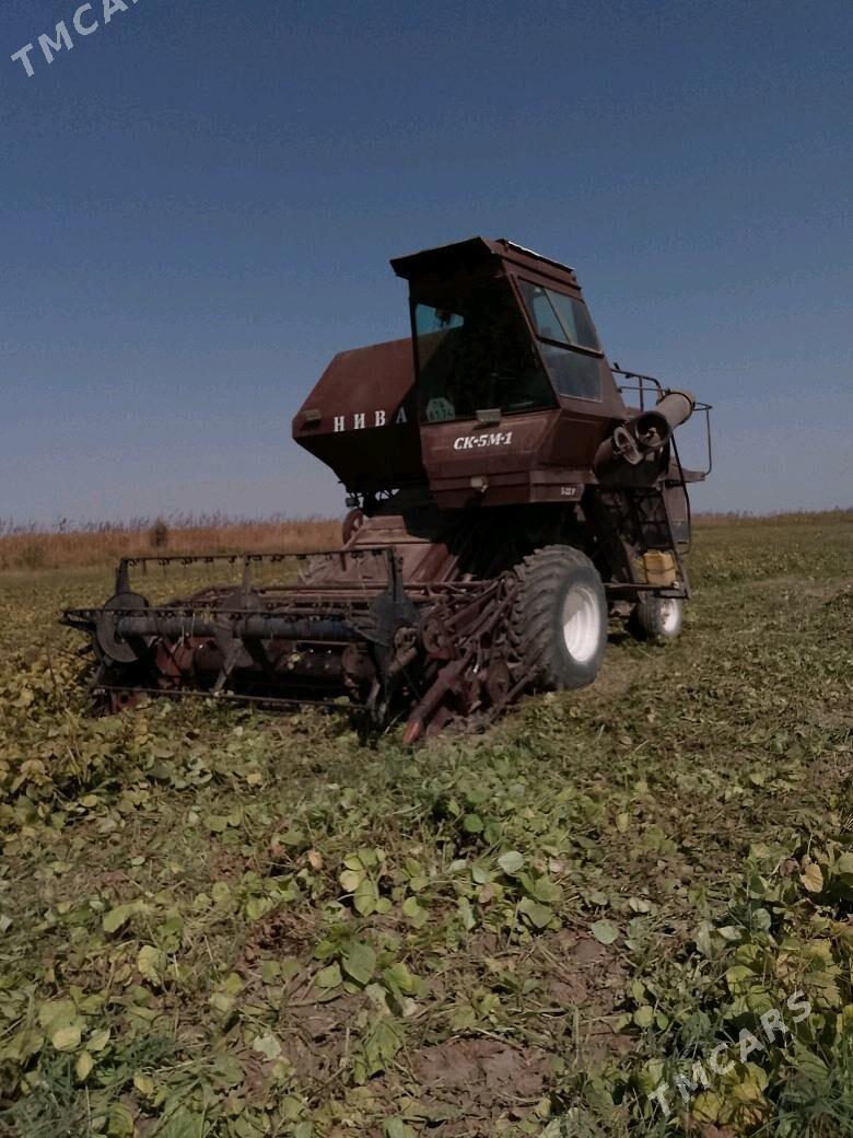 MTZ 80 1992 - 300 000 TMT - Halaç - img 3