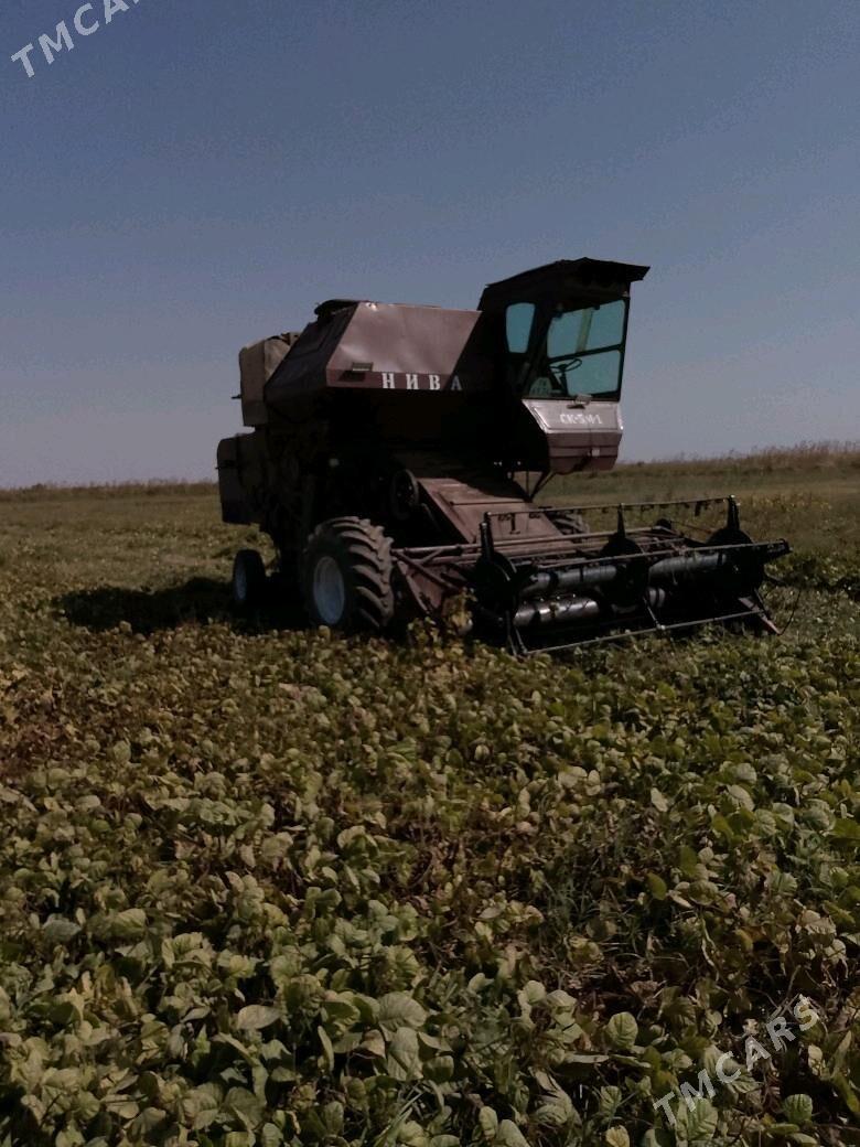 MTZ 80 1992 - 300 000 TMT - Halaç - img 2