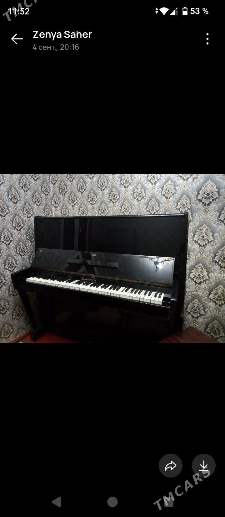 pionina - Туркменбаши - img 2