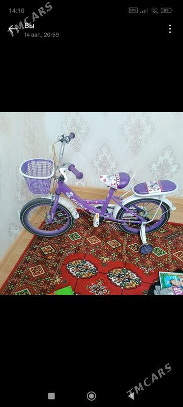 Chaga tigir - 10 мкр - img 1