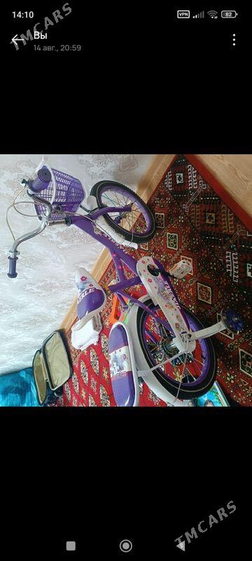 Chaga tigir - 10 мкр - img 2