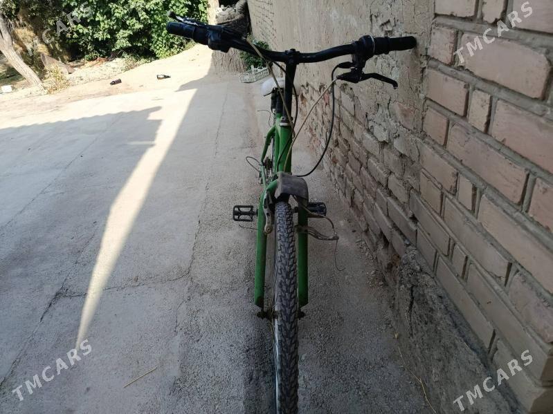 tigir - Bäherden - img 2