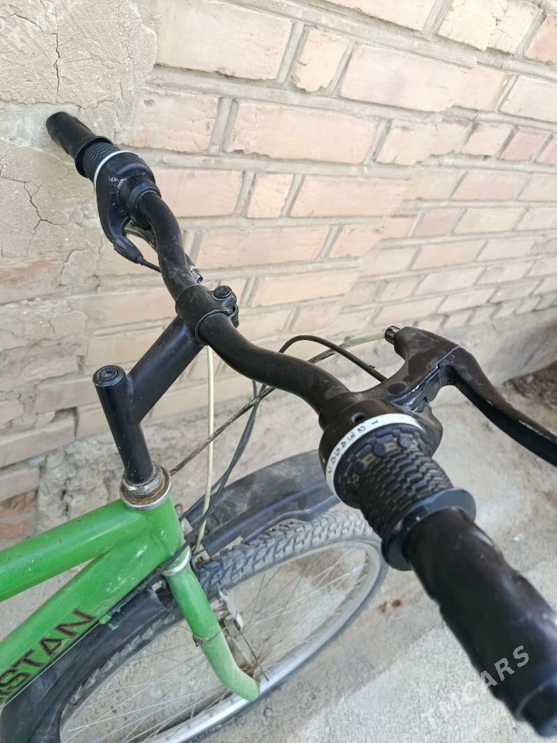 tigir - Bäherden - img 1