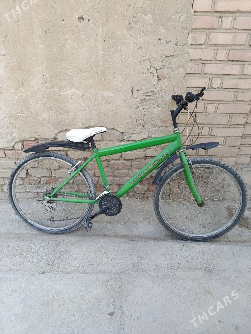 tigir - Bäherden - img 6